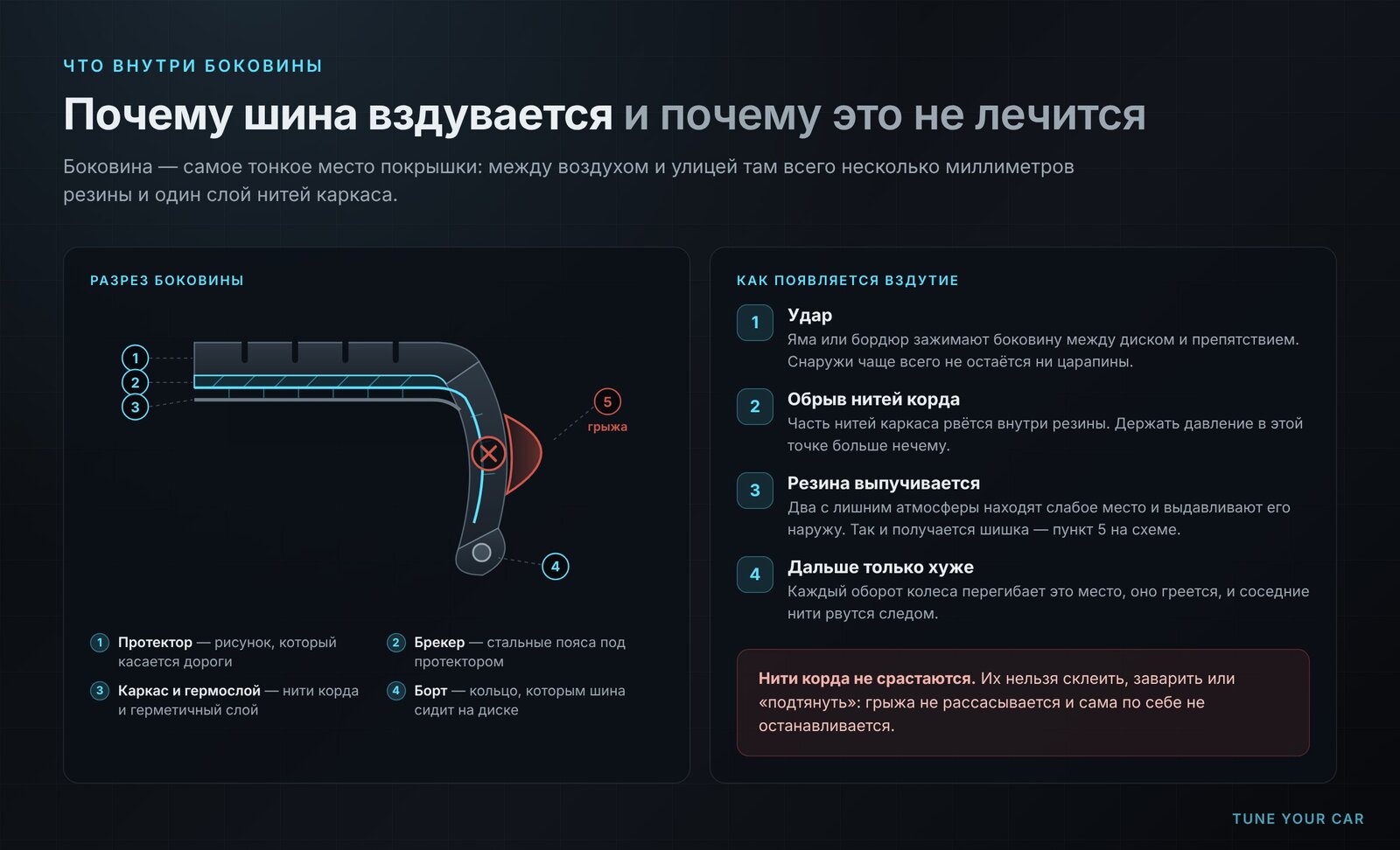 Разрез боковины шины: протектор, брекер, каркас, борт и место разрыва корда